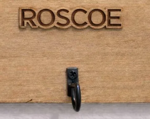 Macro Engraving Shot
